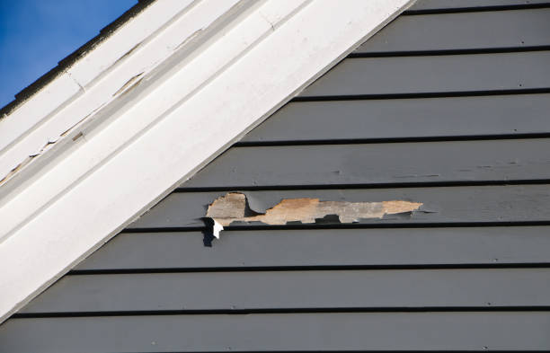 Shed Removal in Galena Park, TX